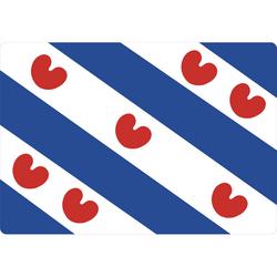 Sticker 'Friese vlag' (5 stuks)